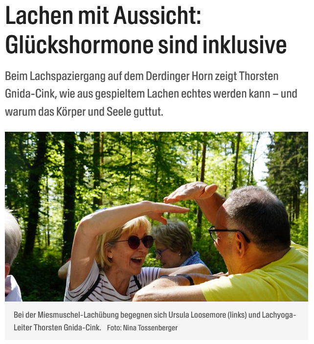Screenshot BNN-Artikel